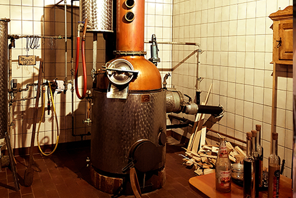 Eifel Tagesfahrt: Historische Wassermühle Birgel ab Düsseldorf / Erkrath