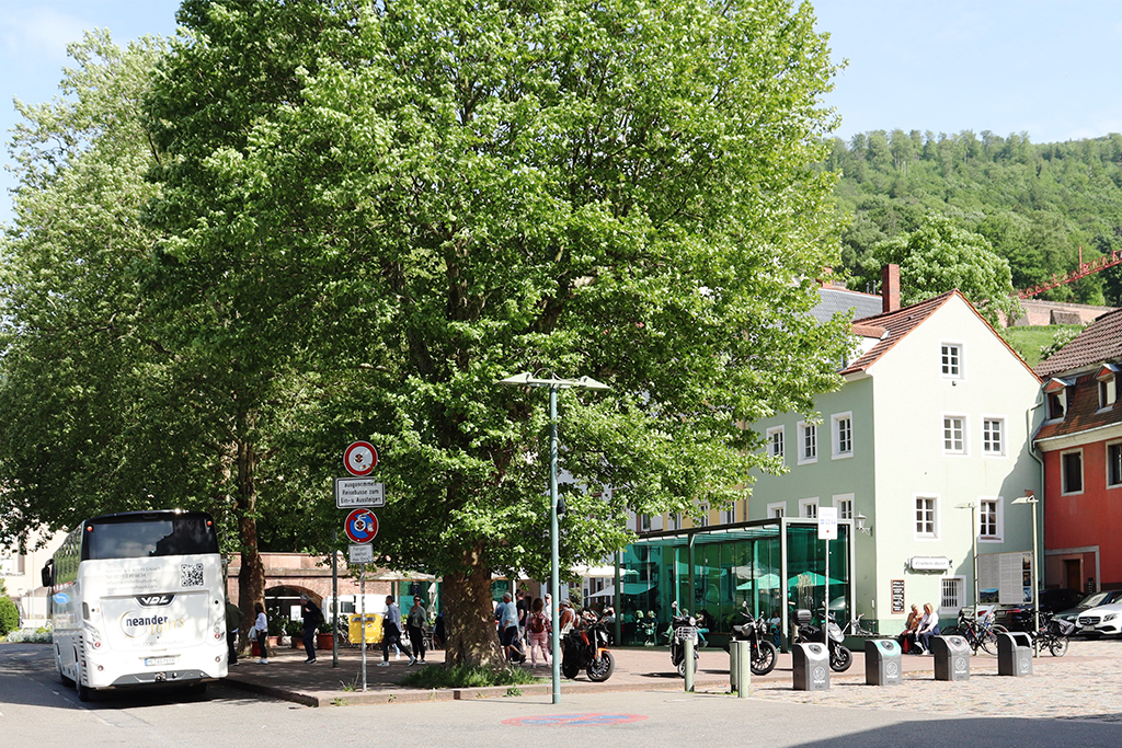 Elsass Studienreise: Zwischenstopp in Heidelberg